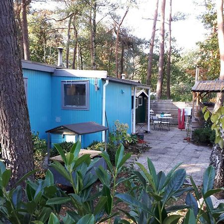 Boshuis Turquoise / Smaakvol Genieten Op De Veluwe 霍德鲁 外观 照片