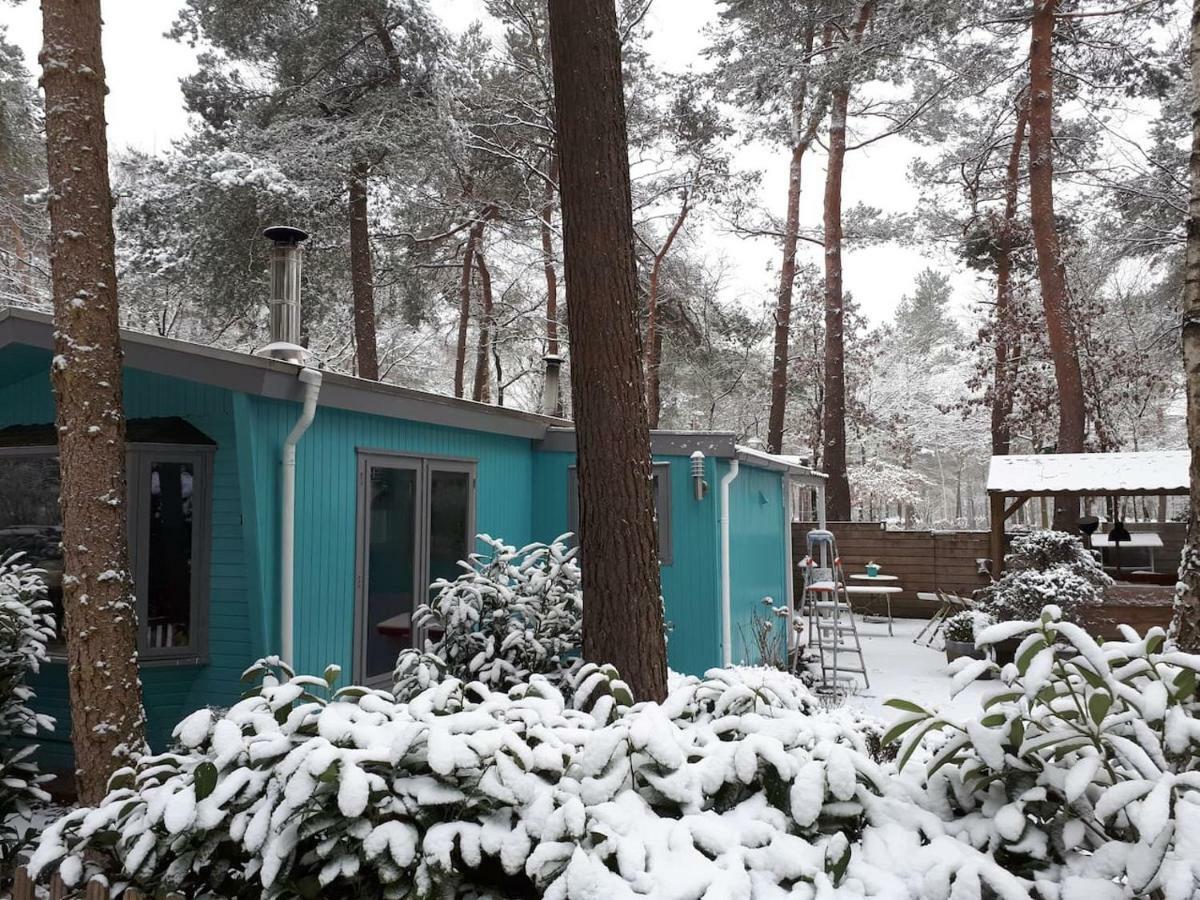 Boshuis Turquoise / Smaakvol Genieten Op De Veluwe 霍德鲁 外观 照片