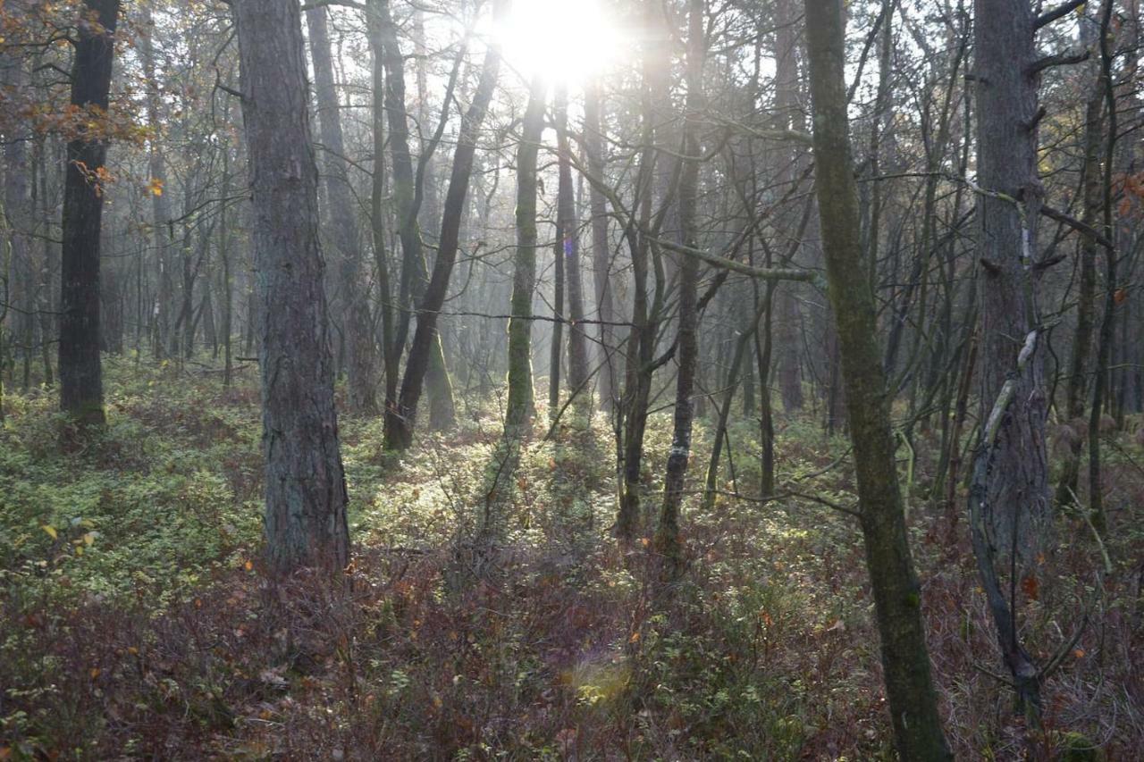Boshuis Turquoise / Smaakvol Genieten Op De Veluwe 霍德鲁 外观 照片