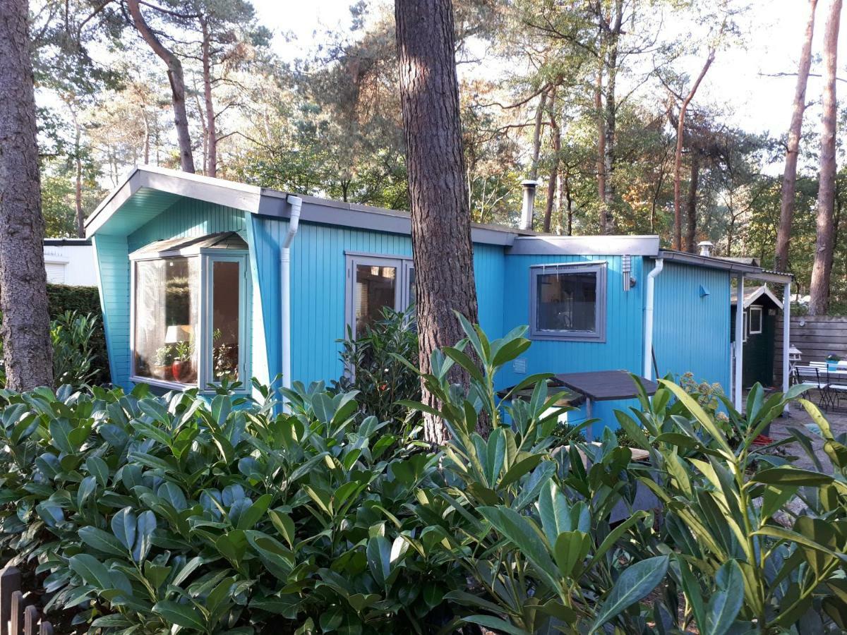Boshuis Turquoise / Smaakvol Genieten Op De Veluwe 霍德鲁 外观 照片