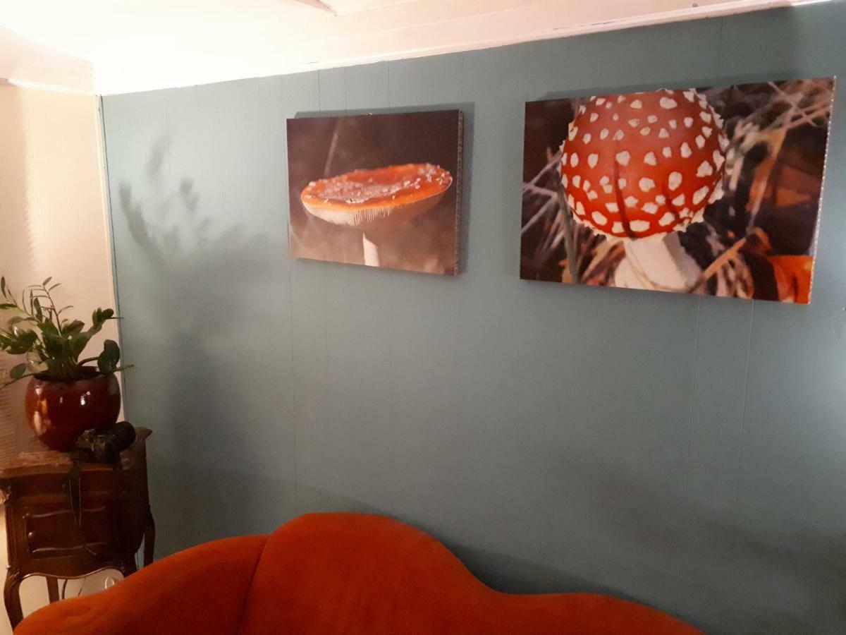 Boshuis Turquoise / Smaakvol Genieten Op De Veluwe 霍德鲁 外观 照片