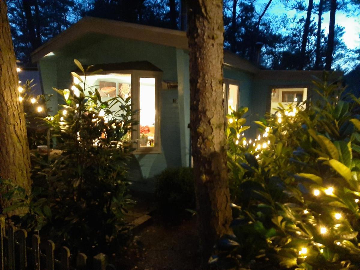 Boshuis Turquoise / Smaakvol Genieten Op De Veluwe 霍德鲁 外观 照片